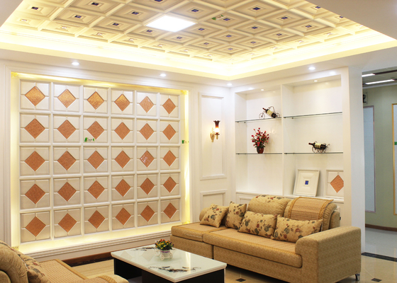 Los paneles de techo decorativos interiores artísticos para la sala de estar, prueba del SGS