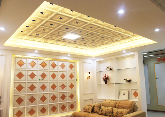 Los paneles de techo decorativos interiores artísticos para la sala de estar, prueba del SGS