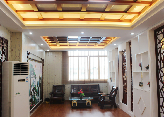 Tejas artísticas especiales del techo de Arabesquitic para el ornamento de la casa, SONCAP