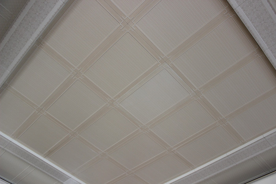 Tejas artísticas del techo de la prueba de los sonidos, los paneles de techo de aluminio únicos